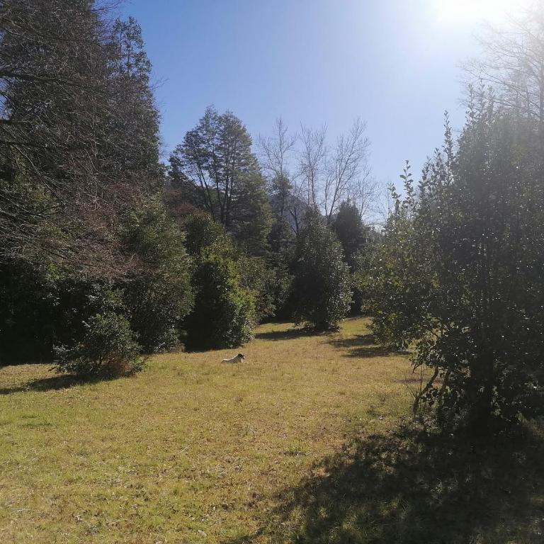 Cabaña Pocolpen - Two-Bedroom Chalet - 22