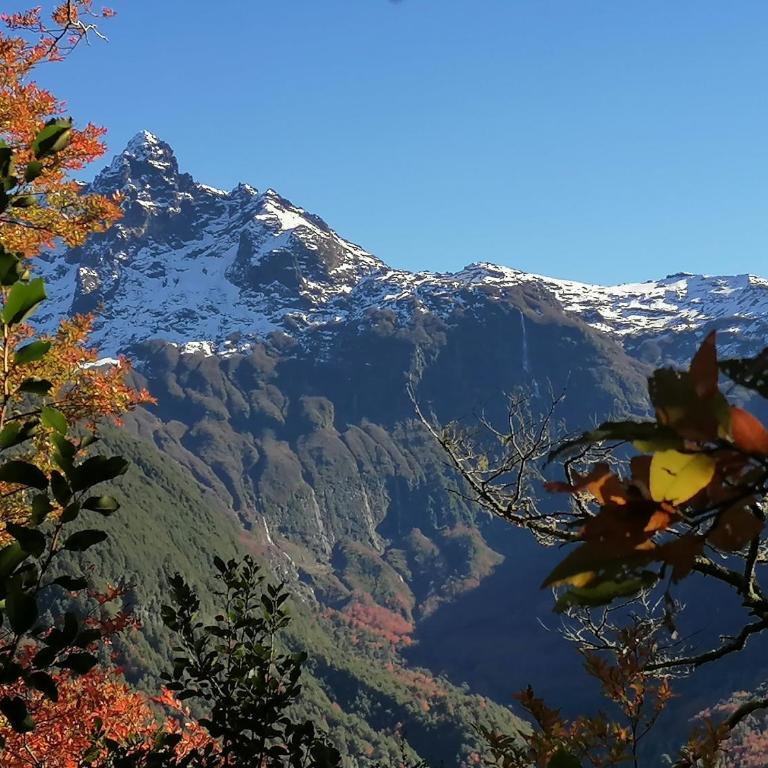 Cabaña Pocolpen - Two-Bedroom Chalet - 23