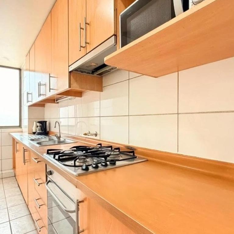 Departamento Avenida Providencia - Apartment with Terrace - 35