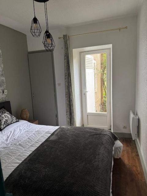 Bel Appartement T2 - Appartement 1 Chambre - 6