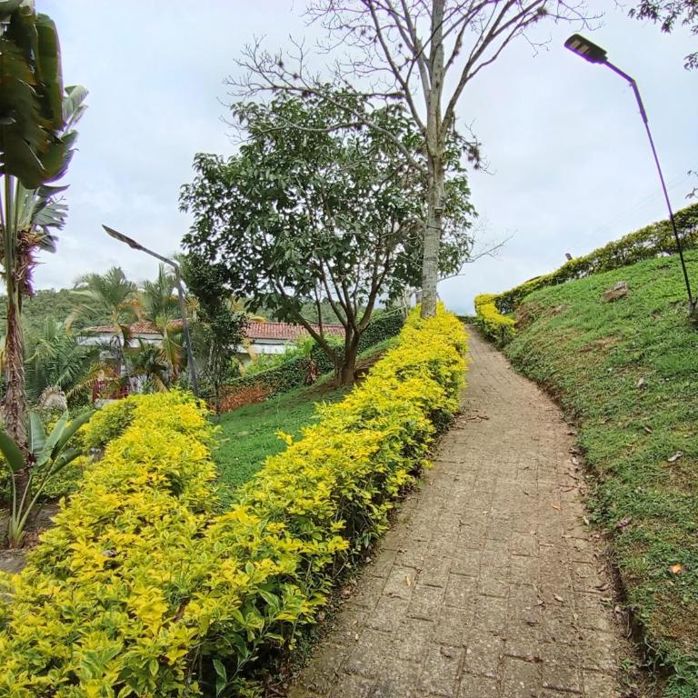 Villa campestre en conjunto residencial - Villa de 3 dormitorios - 15