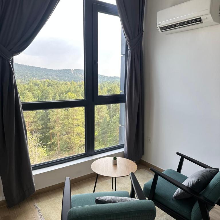 Planina zove Divčibare - One-Bedroom Apartment - 2