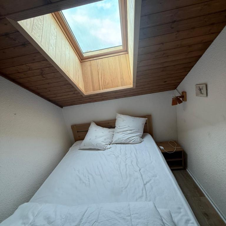 beau duplex marmotiere - Appartement 3 Chambres avec Vue sur la Montagne - 14