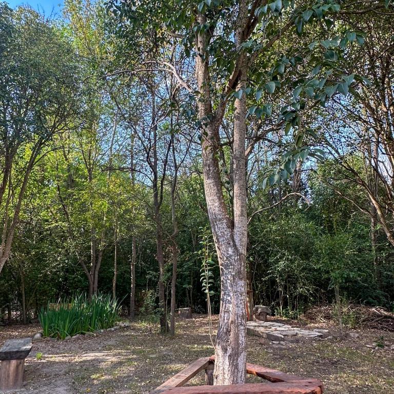 Casa de piedra con jardin y pileta - privada - Casa con 1 dormitorio - 23