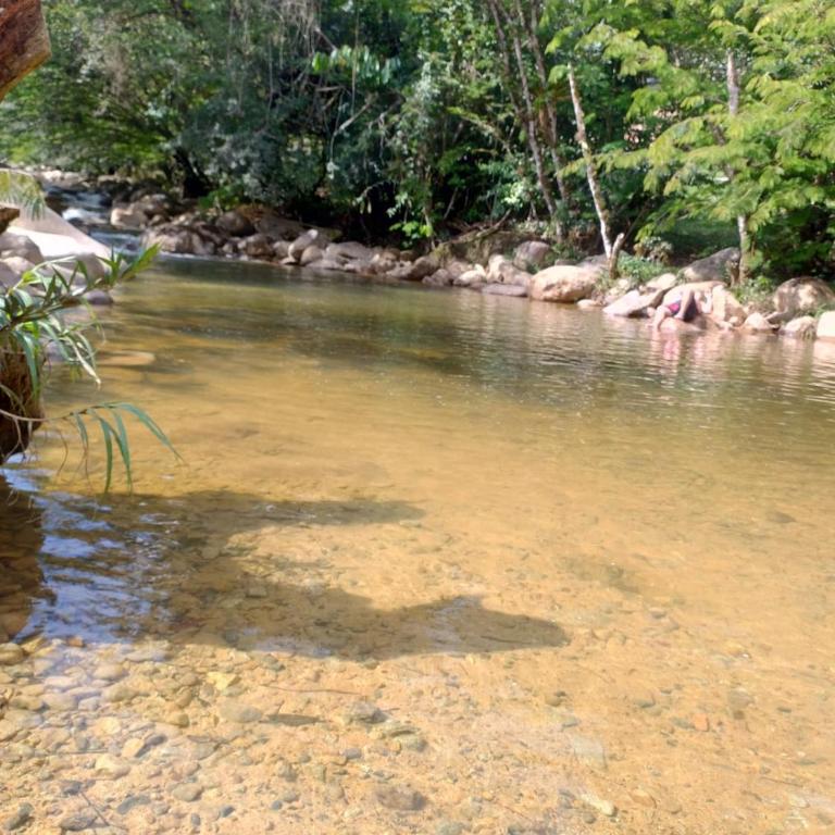 Conexión naturaleza - Double Room - 13