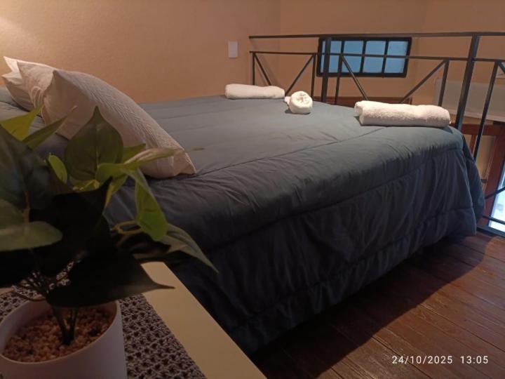 New Carranza - Two-Bedroom Apartment - 5