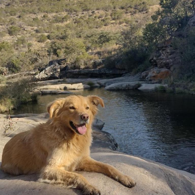 NATURAL Tanti Lomas - Casa - 4