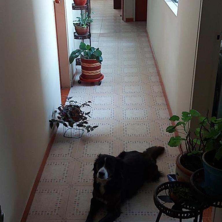 AAMPLIO y ACOGEDOR APARTAMENTO EN PLENO CENTRO DE IBAGUÉ - Apartamento de 3 dormitorios - 2