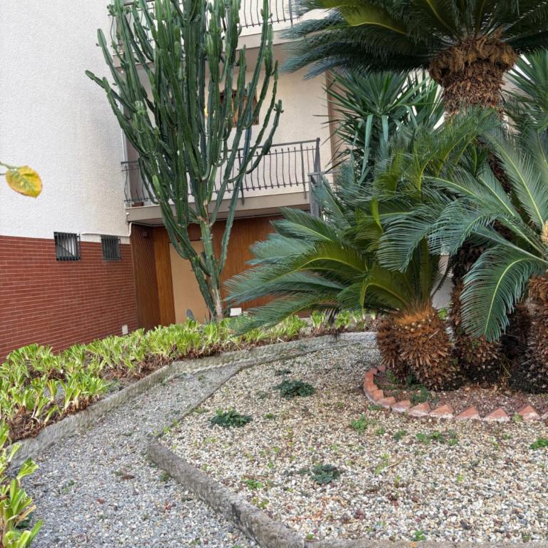 Magici Sogni-Bordighera - Apartment mit 1 Schlafzimmer - 5