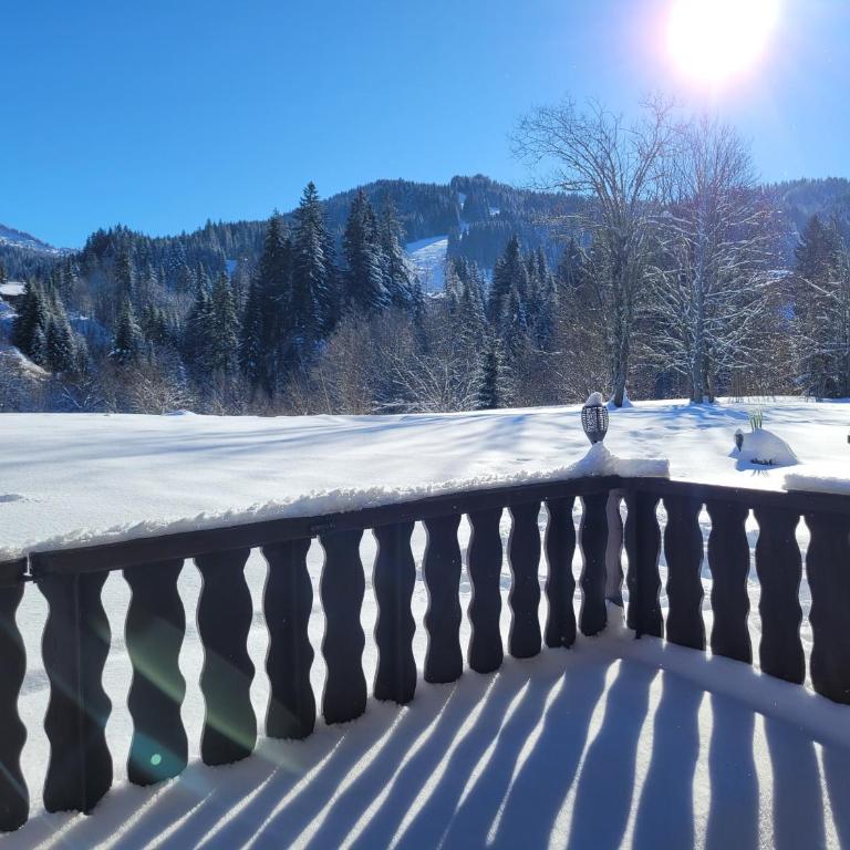 Centre, Pistes à pied, Vue magnifique, Calme, Tout renové, Grande terrasse - Appartamento con 1 Camera da Letto - 39