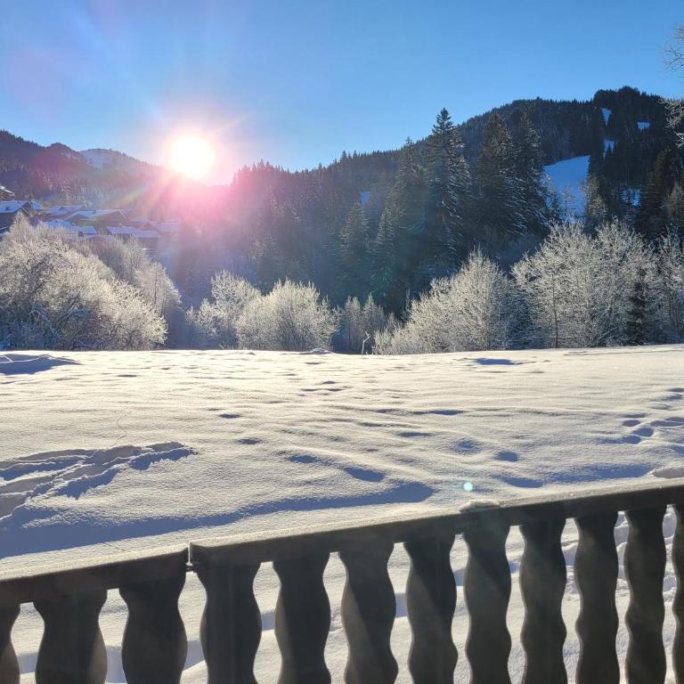 Centre, Pistes à pied, Vue magnifique, Calme, Tout renové, Grande terrasse - Appartamento con 1 Camera da Letto - 35