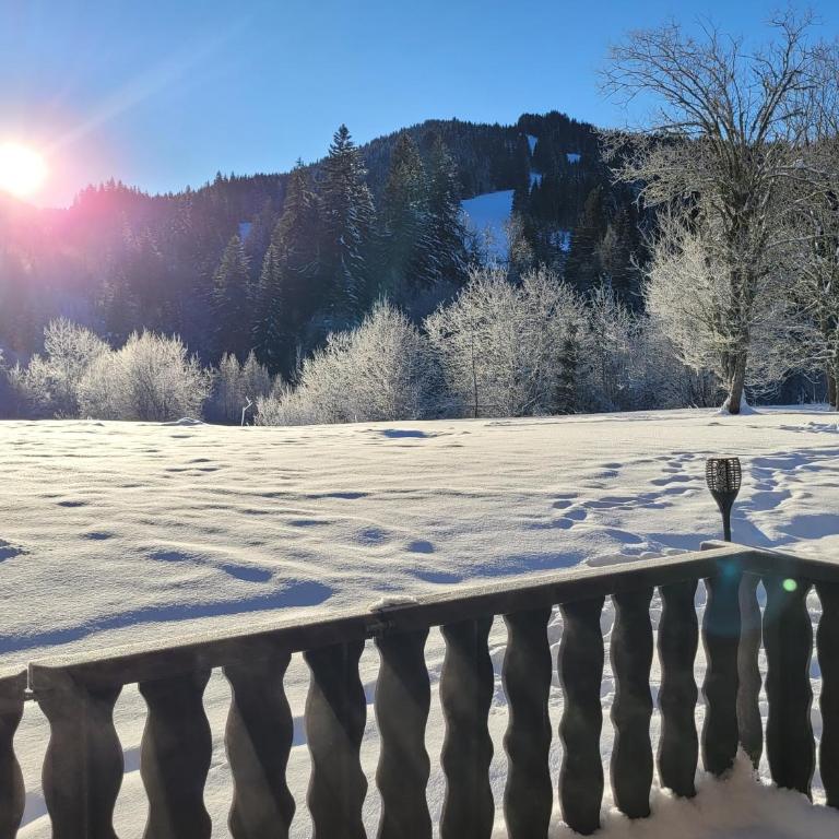 Centre, Pistes à pied, Vue magnifique, Calme, Tout renové, Grande terrasse - Appartamento con 1 Camera da Letto - 36