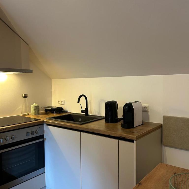 Panorama Loft Bad Aussee - Appartement 2 Chambres - 9