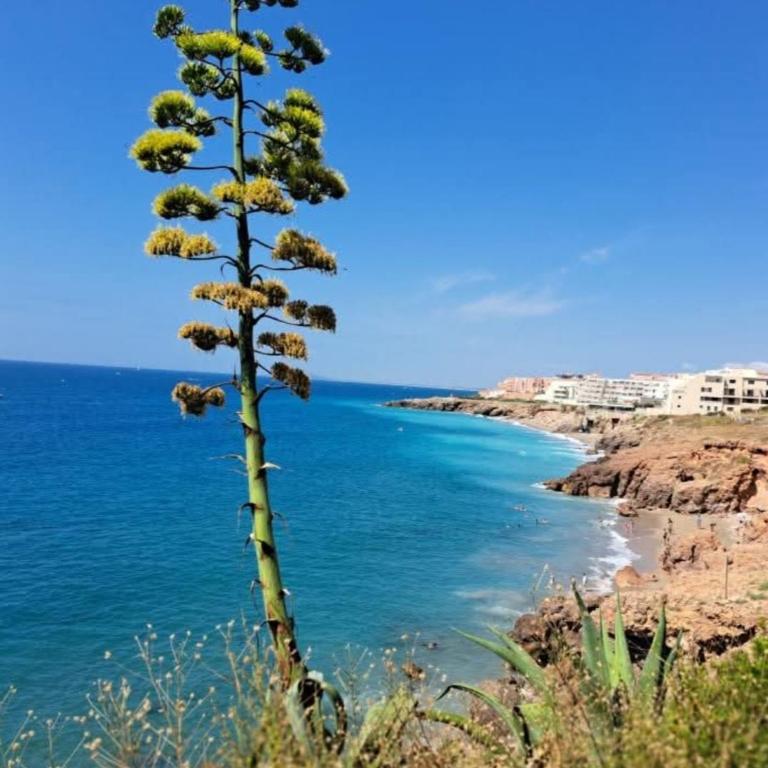 Vue mer exceptionnelle sur la corniche - Apartment mit 2 Schlafzimmern - 1