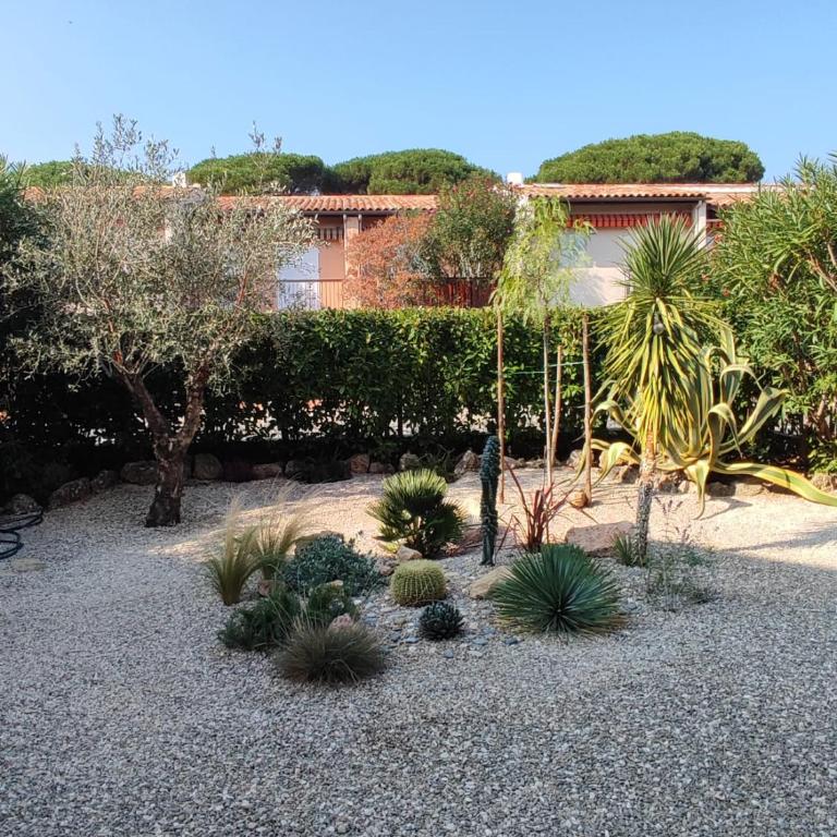 Le Palmier, jardin privatif, plage 200m, centre et restaurants à deux pas, climatisé, wifi, garage, rénové - Apartment with Garden View - 2