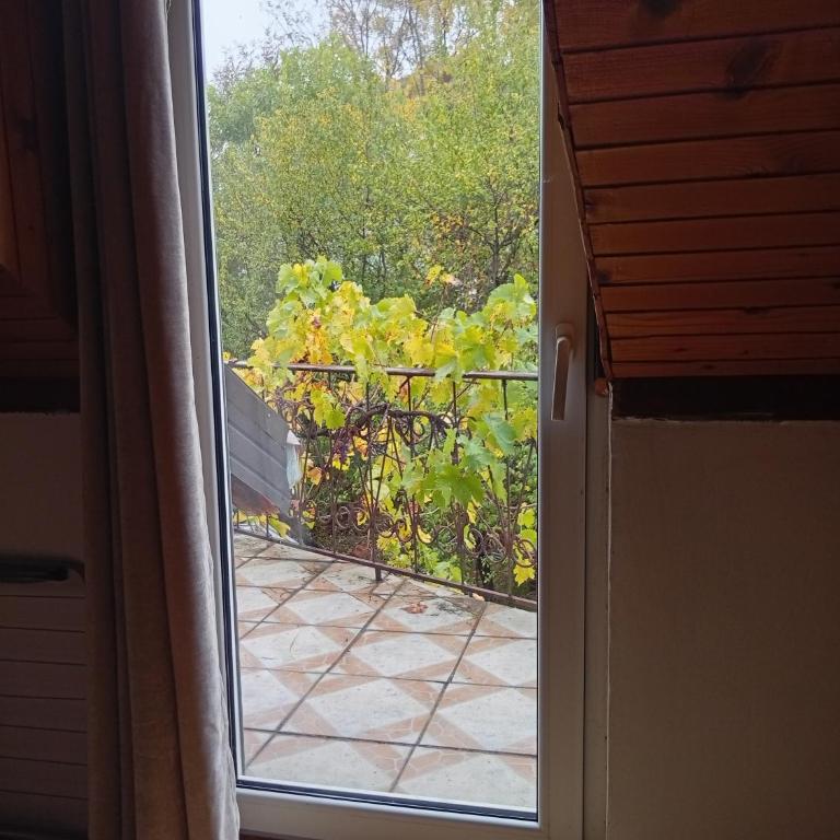 Apartman Kaća - Apartment with Balcony - 9