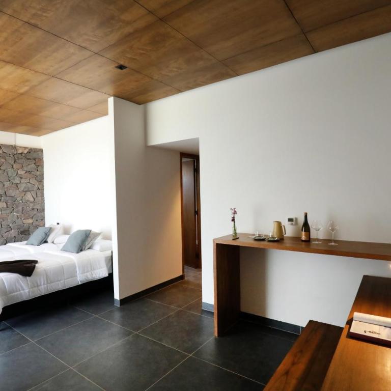 Boutique Hotel Bodega CICLO ANDINO - Deluxe Double or Twin Room with Mountain View - 9