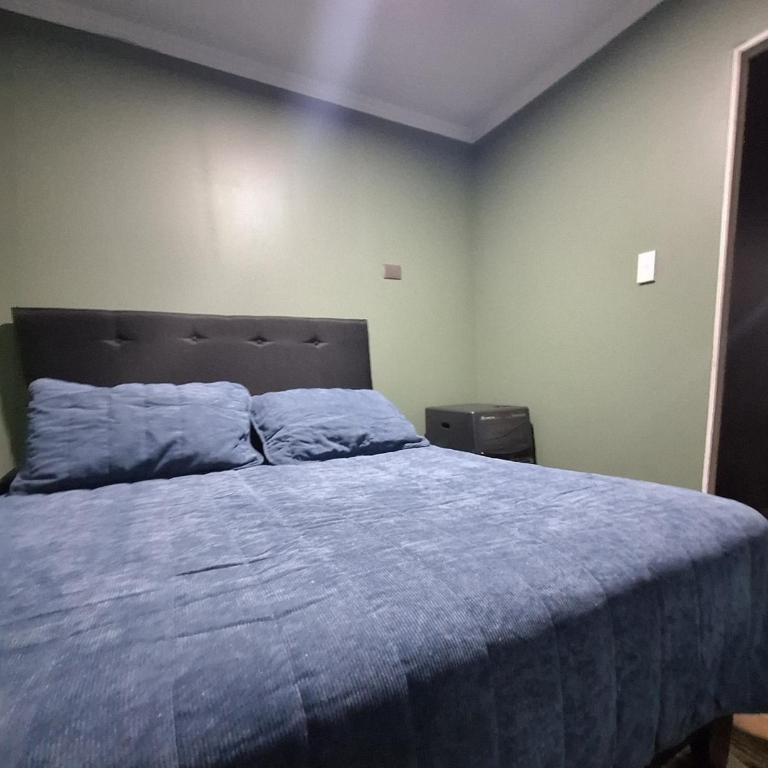 Piscinas y cabañas llancanao - Two-Bedroom Apartment - 5
