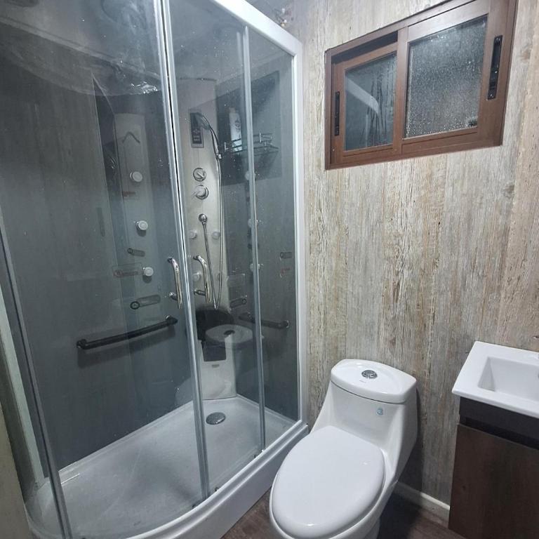 Piscinas y cabañas llancanao - Two-Bedroom Apartment - 6