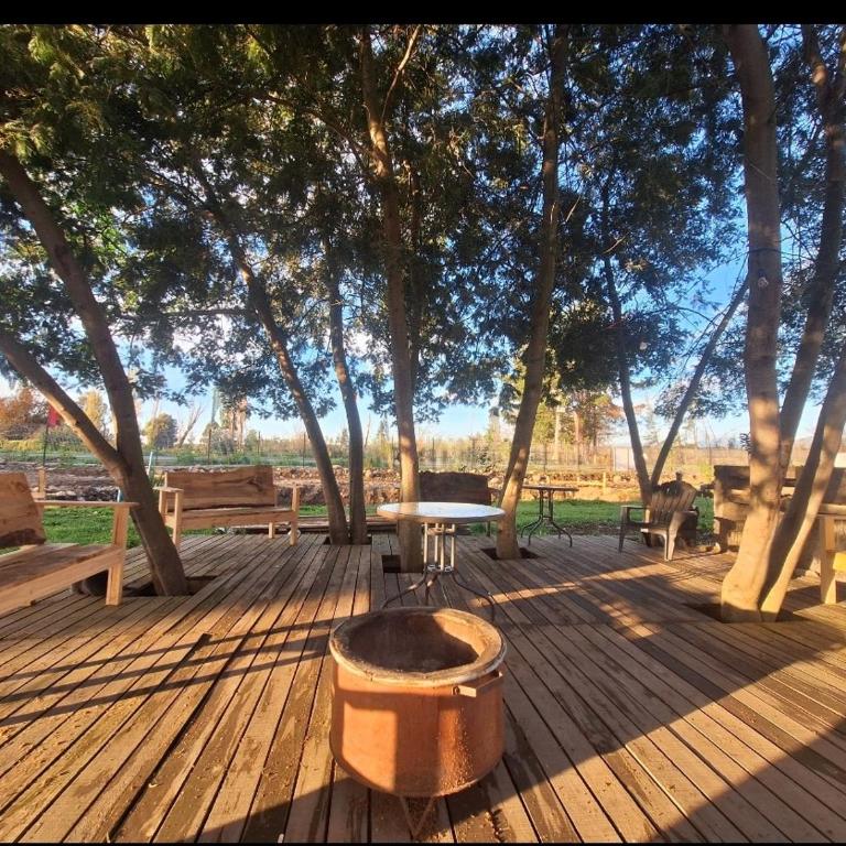Piscinas y cabañas llancanao - Two-Bedroom Apartment - 8
