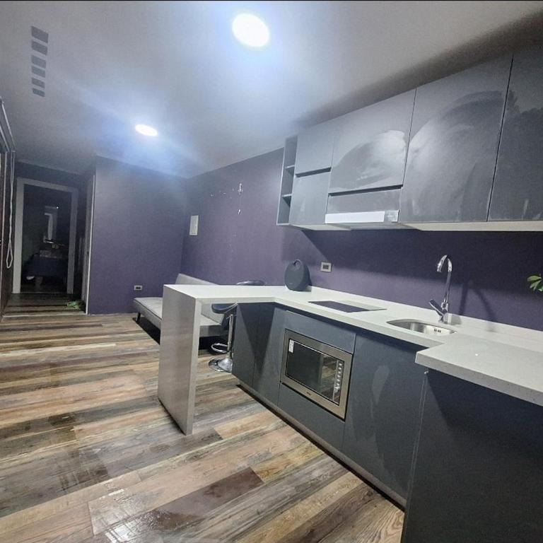 Piscinas y cabañas llancanao - Two-Bedroom Apartment - 11