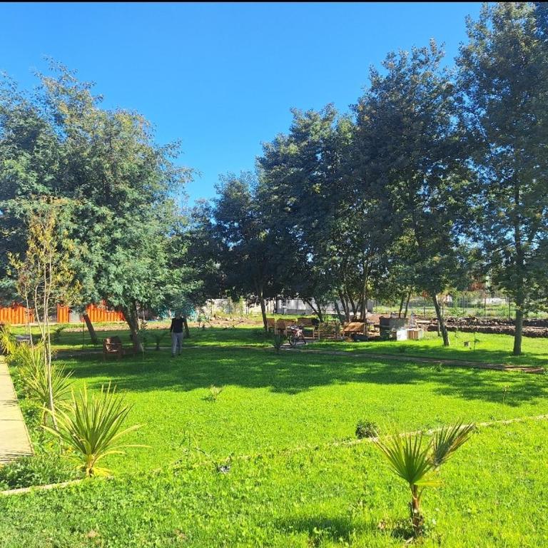 Piscinas y cabañas llancanao - Two-Bedroom Apartment - 16