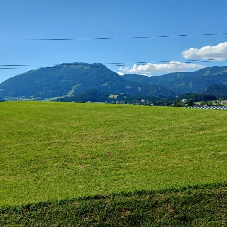 Ferienwohnung Naturblick - Apartment mit 2 Schlafzimmern - 20