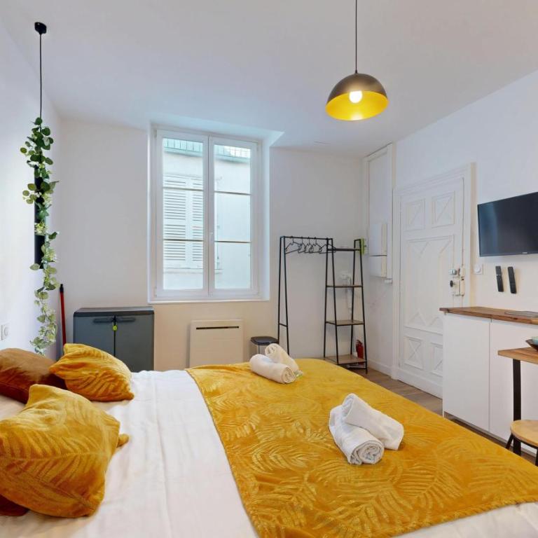 expat renting - Le Cyrano - Hyper centre - Wifi - Appartamento con 1 Camera da Letto - 19