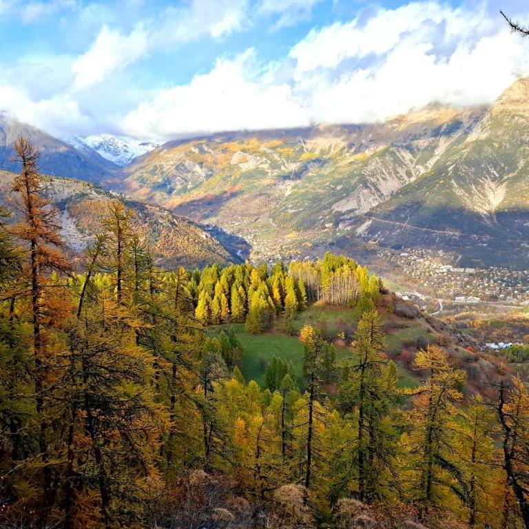 Appart 6 pers à 1800m, vue superbe, ski aux pieds - Apartment mit 3 Schlafzimmern - 18