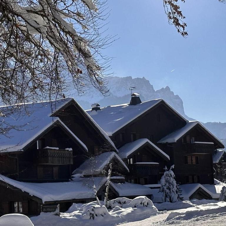 Appartement 3 Pièces 6 Pers avec Balcon aux Carroz - FR-1-572-53 - Apartment (6 Erwachsene) - 13