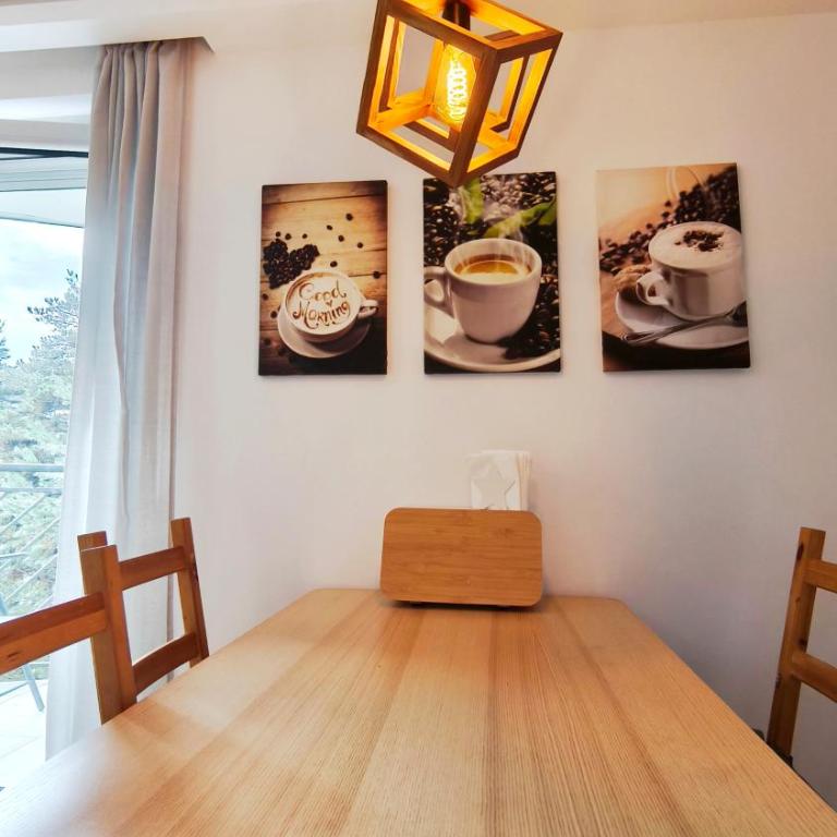 Studio apartman ENJOY Divčibare - Deluks Studio sa Bračnim Krevetom (King-size) - 35