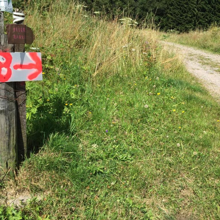 Les Bruyeres wi fi - Chalet - 30