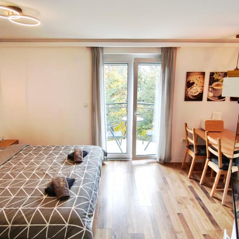 Studio apartman ENJOY Divčibare - Deluks Studio sa Bračnim Krevetom (King-size) - 34