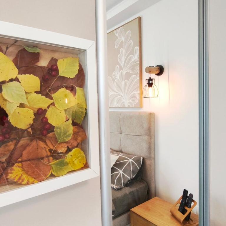 Studio apartman ENJOY Divčibare - Deluks Studio sa Bračnim Krevetom (King-size) - 17