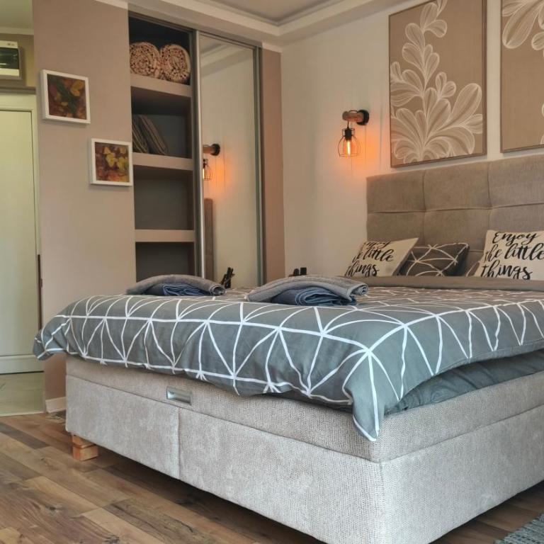 Studio apartman ENJOY Divčibare - Deluks Studio sa Bračnim Krevetom (King-size) - 25
