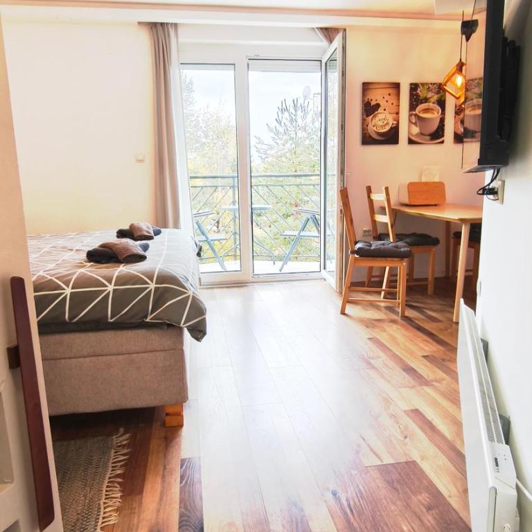 Studio apartman ENJOY Divčibare - Deluks Studio sa Bračnim Krevetom (King-size) - 29