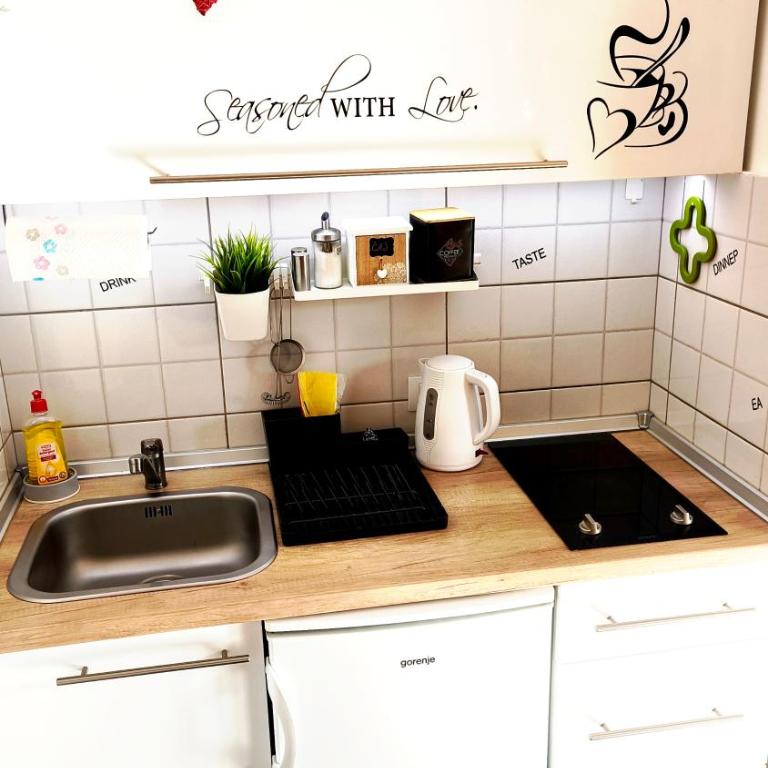 Studio apartman ENJOY Divčibare - Deluks Studio sa Bračnim Krevetom (King-size) - 16