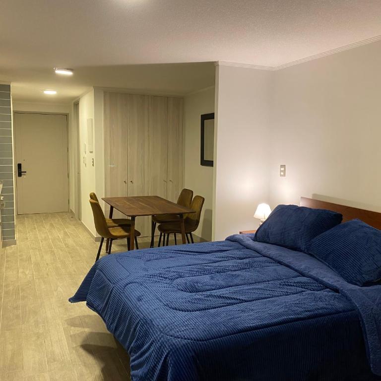 Estudio en Santiago, club hípico, novistar arena - One-Bedroom Apartment - 1