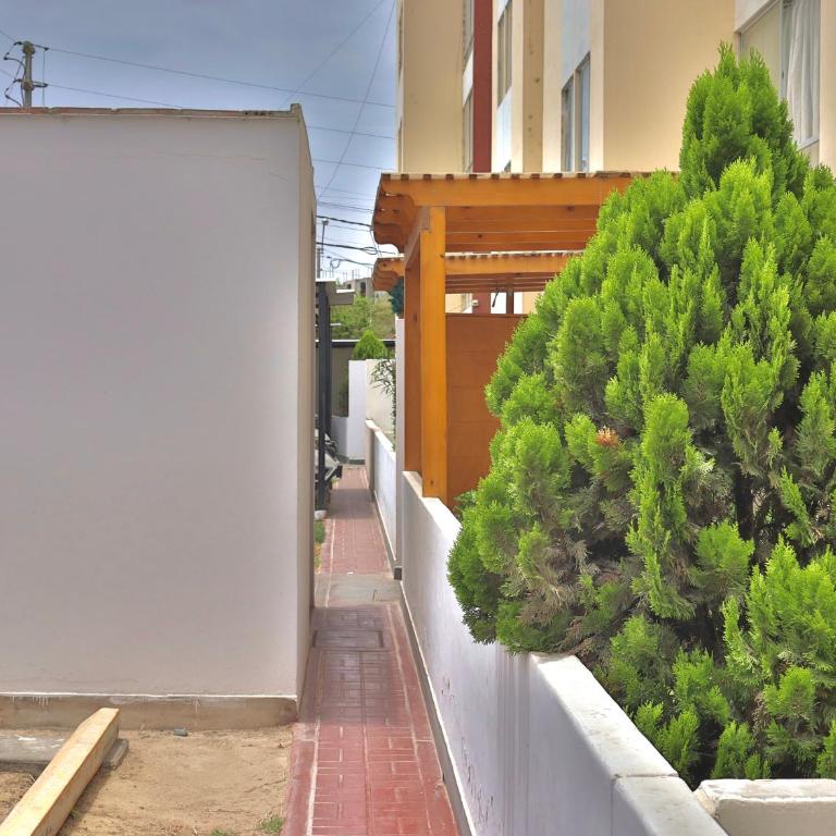 Lindo depa cerca a huacachina - Three-Bedroom Apartment - 12