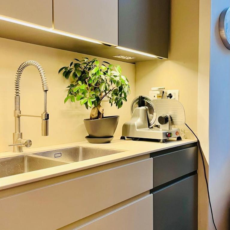 Suite Rinascimento - Appartamento Deluxe con 1 Camera da Letto - 24