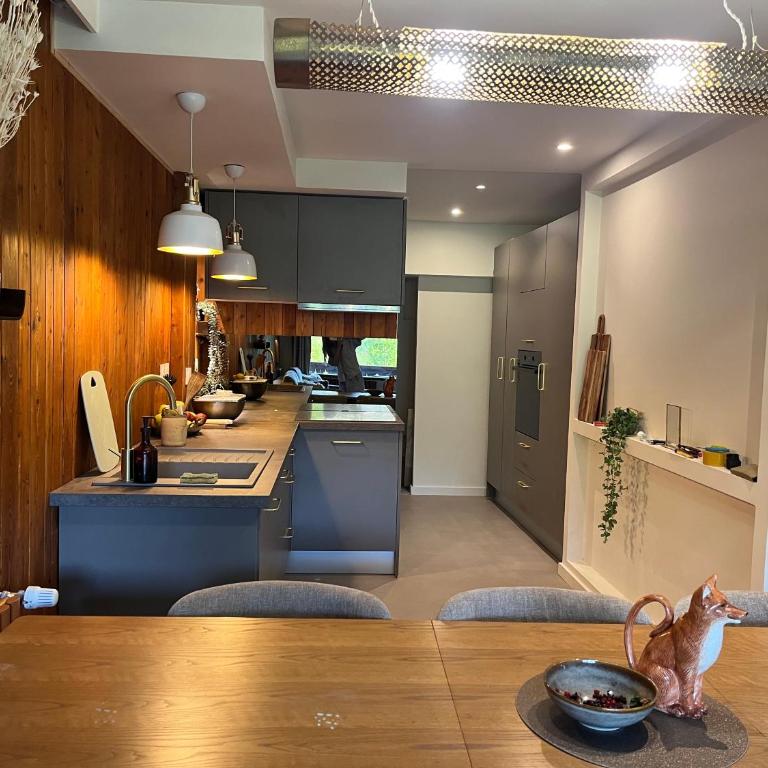 Appart proche des pistes avec terrasse à Vars - Appartement 3 Chambres - 21