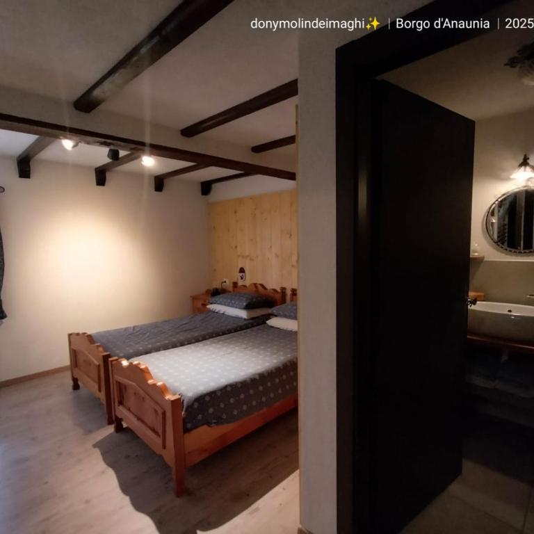 MolinDeiMaghi - Camera Matrimoniale/Doppia con Letti Singoli con Bagno Privato - 6