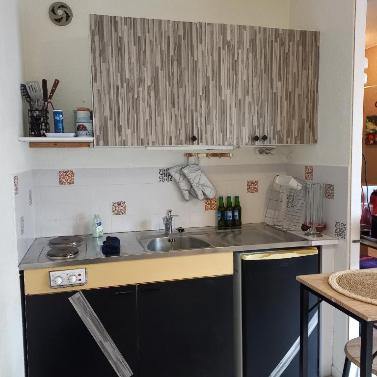 Studio SAFARI - Appartement 1 Chambre - 7
