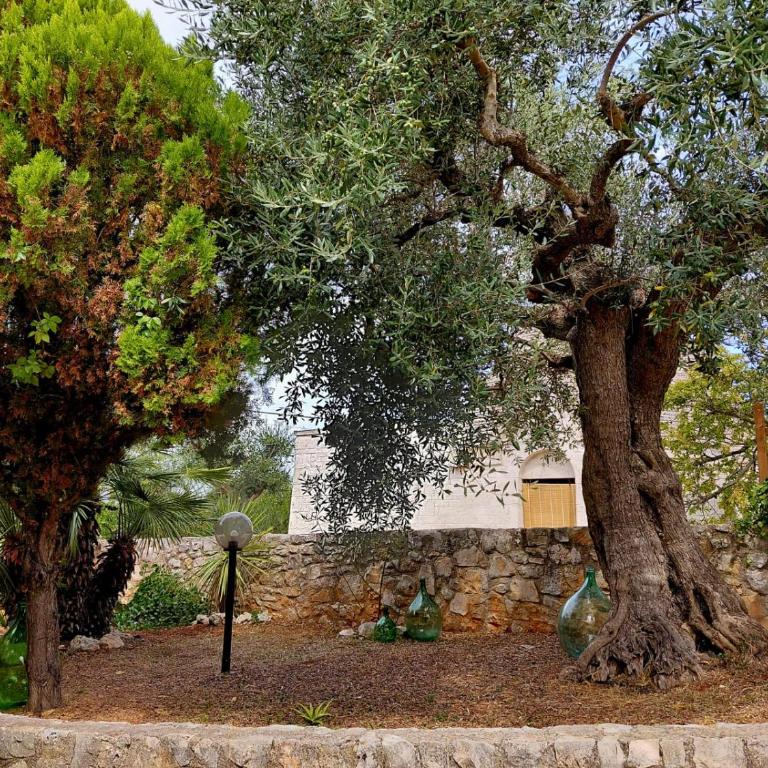 Trulli Di Nonno Stefano - Casa con 2 Camere da Letto - 24