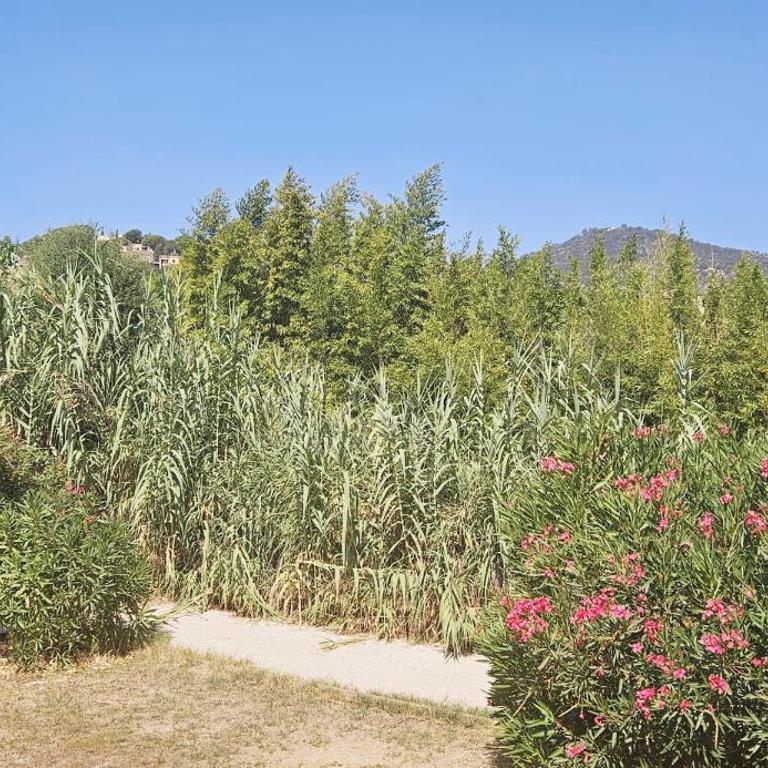 Villa Familiale Surequipée 16p Piscine Babyfoot Billard Boulodrome - Six-Bedroom House - 2