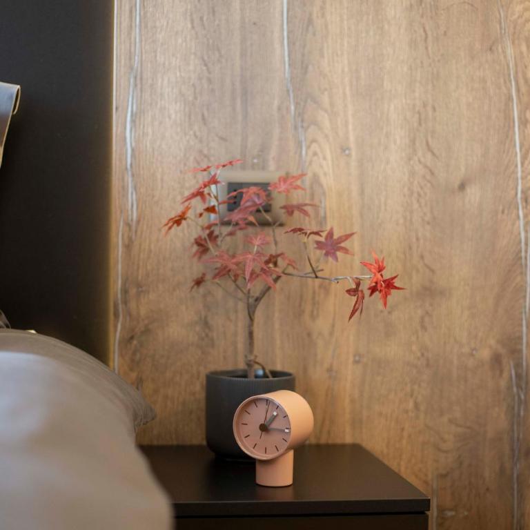 Leo Urban Lux, comfort - Central Stay, free Garage - Apartman - 5