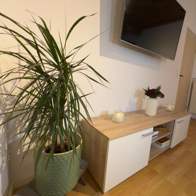 Traunapartment Altaussee - Apartment mit 1 Schlafzimmer - 27