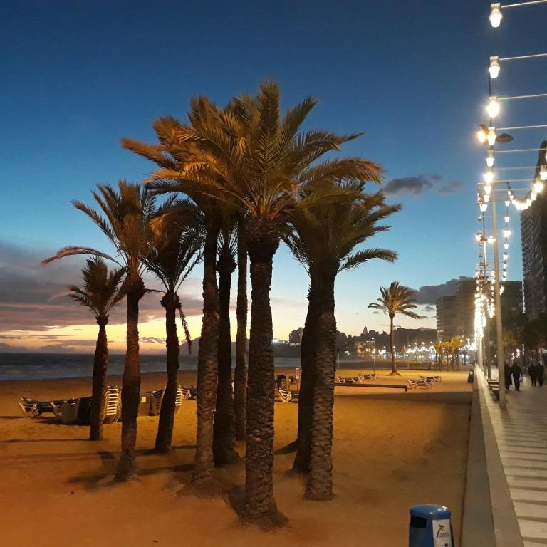 4B on the beach - Apartamento de 2 dormitorios - 27