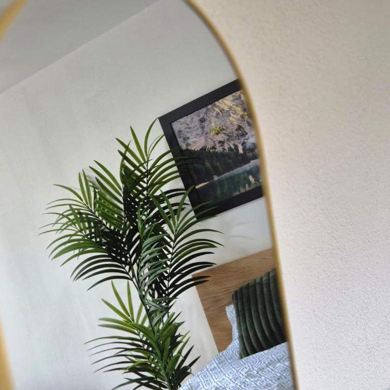 Quiet & Modern Studio near Tram & River Lech - Apartment mit 1 Schlafzimmer - 8