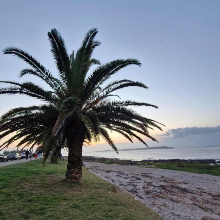 Departamento en Punta del Este - Apartamento de 2 dormitorios - 4